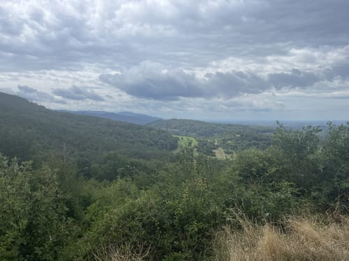 Von St. Georgen zur Schneeburg