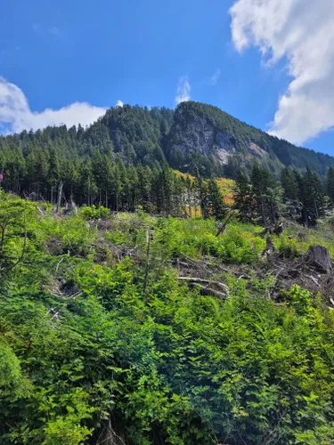 Hiking Raven's Bluff & Little Nicomen Peak near Mission - Best Hikes BC