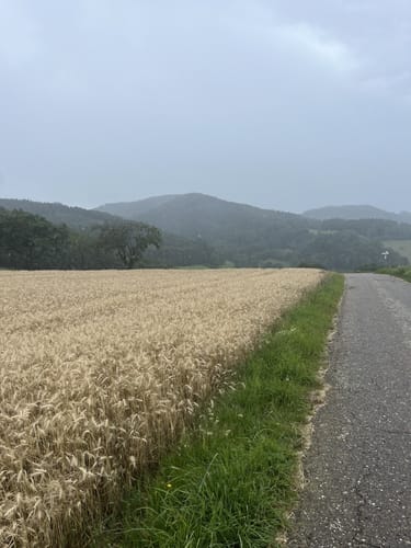 Schweighausen: Aussichtsweg - Große Runde