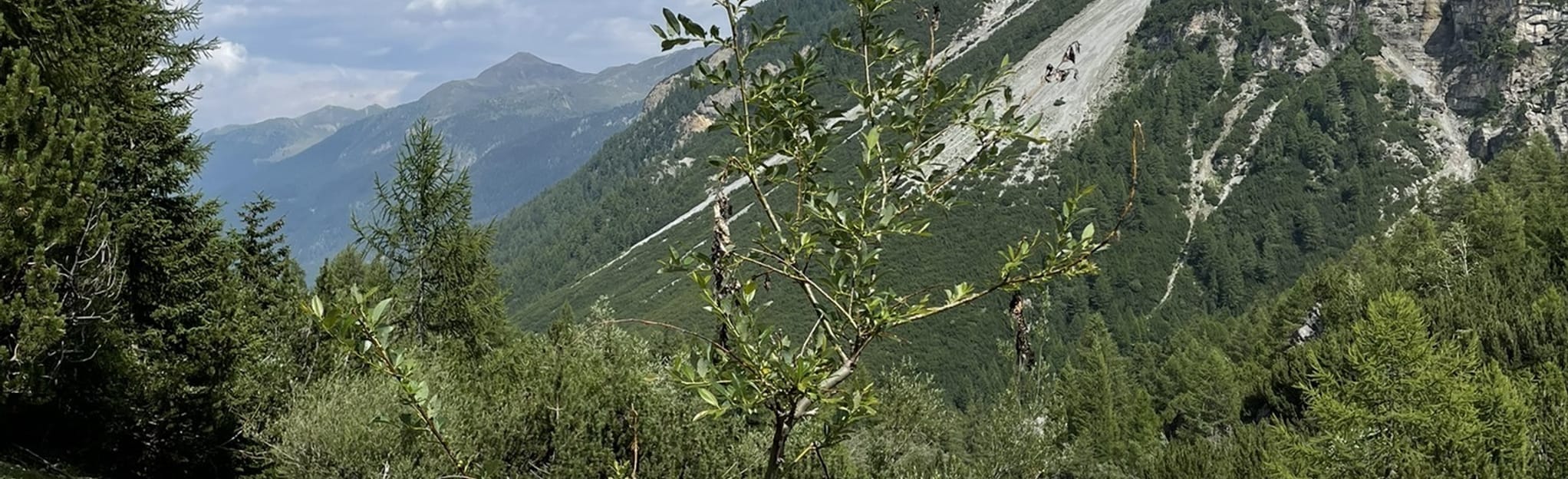 Val Vau - Lake Rims, Graubünden, Switzerland - 3 Reviews, Map | AllTrails
