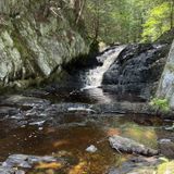 Cascade Falls Trail, Maine - 702 Reviews, Map | AllTrails