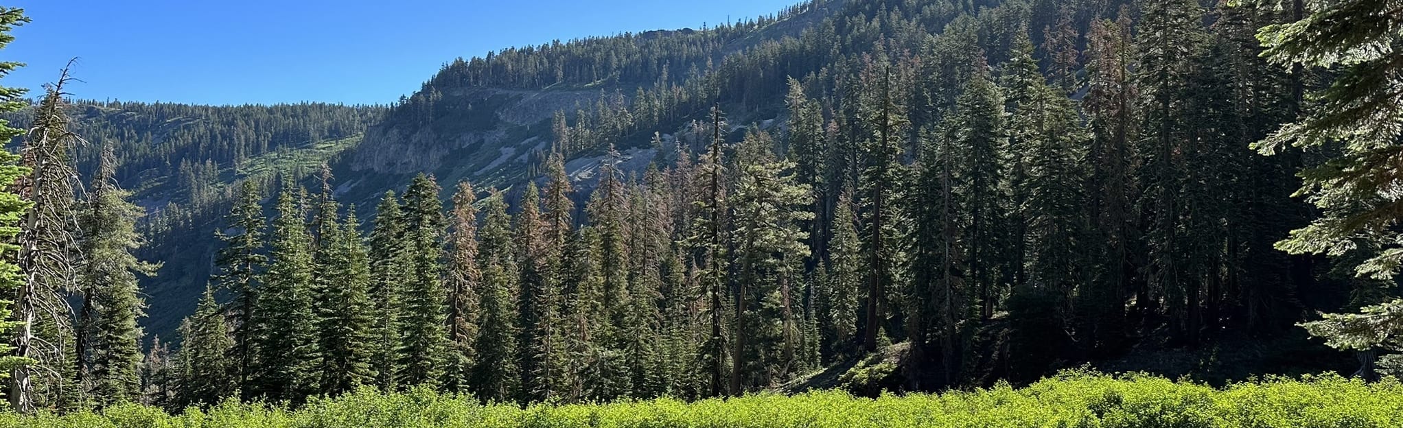 Diamond Crossing via Powder Horn Trail 47 foto California AllTrails