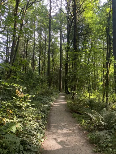 10 Best Hikes and Trails in Tryon Creek State Natural Area AllTrails