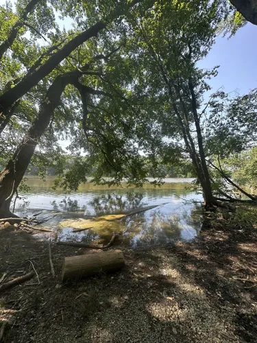 Best Hikes and Trails in Lums Pond State Park | AllTrails