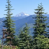 Johnson Ridge Trail, Washington - 270 Reviews, Map | AllTrails
