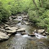 Sugarlands Valley Nature Trail, Tennessee - 426 Reviews, Map | AllTrails