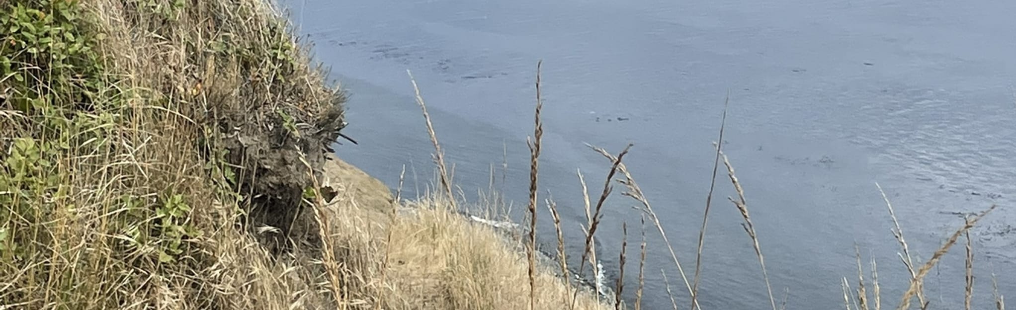 Kettles Trail , Washington 161 Reviews, Map AllTrails