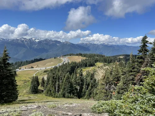 Alltrails olympic national outlet park