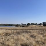 Modderfontein Dam Loop, Gauteng, South Africa - 379 Reviews, Map ...