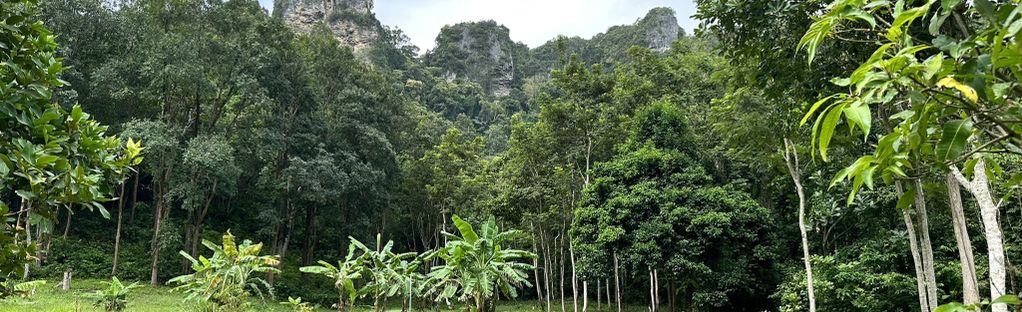 Explore Railay Bay by Yourself, Krabi, Thailand