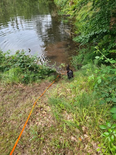 Rundweg Seebachtal Hain