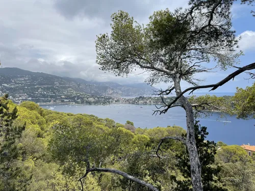 Best hikes outlet in nice france