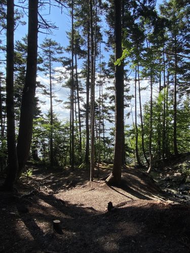 Goose River Trail: 296 fotos - Nuevo Brunswick, Canadá