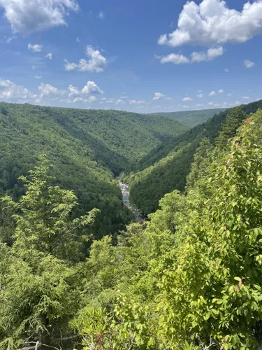 10 Best Hikes and Trails in Blackwater Falls State Park | AllTrails