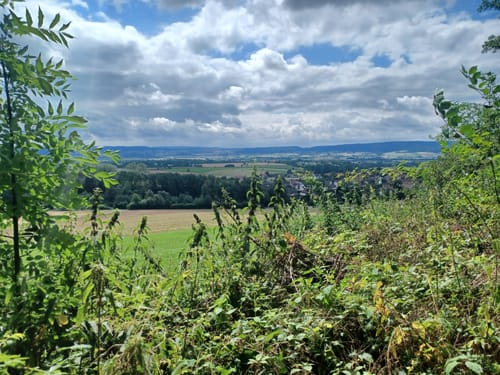 Baumgartenweg und Schneegrundstraße