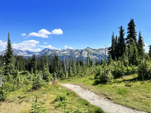 10 Best Hikes and Trails in Mount Revelstoke National Park | AllTrails