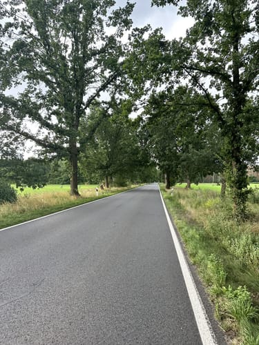 Neukölln - Bindow - Motzen - Bestensee - Mittenwalde