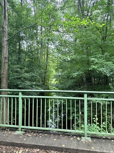 Neukölln - Bindow - Motzen - Bestensee - Mittenwalde