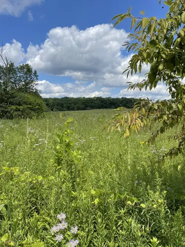 Kinnickinnic state shop park hiking