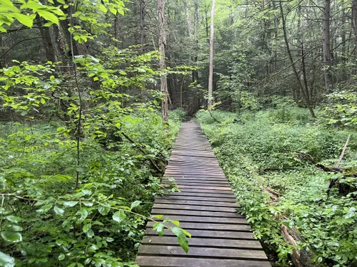 Best Hikes and Trails in Brodie Park AllTrails