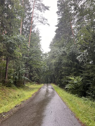 Pfreimdtal Uferpfad