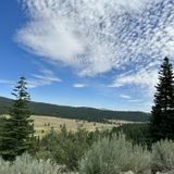 Crystal Mine Trail, California - 41 Reviews, Map | AllTrails