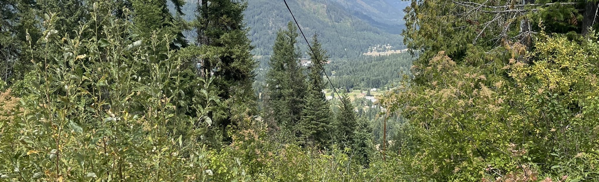 ster Road Trail 22 Reviews, Map British Columbia, Canada AllTrails