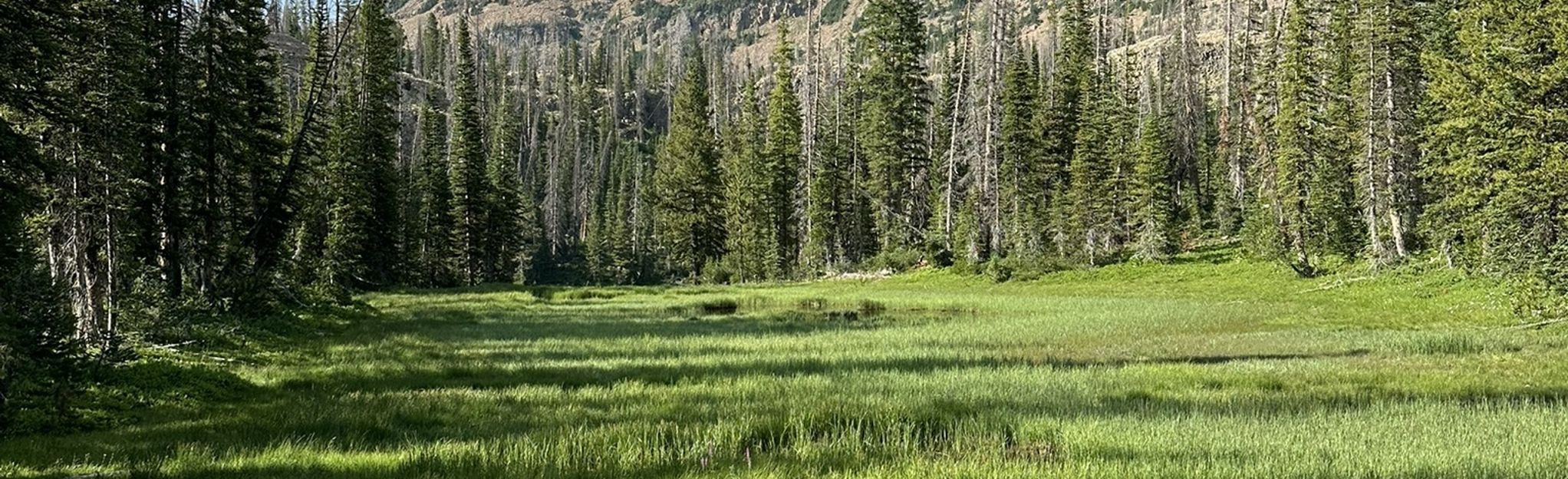 Clyde Lake Loop, Utah 1,483 Reviews, Map AllTrails