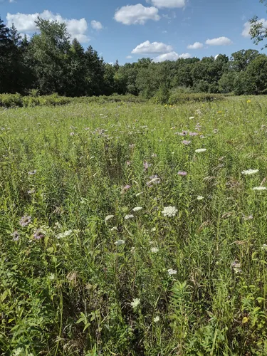 2023 Best Walking Trails in Kettle Moraine State Forest Lapham Peak ...