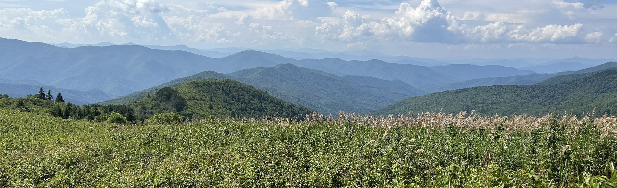 Shining Rock Loop from Black Balsam Road 33 Reviews, Map North