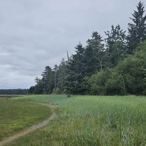 2023 Best Wild Flowers Trails in Oysterville AllTrails