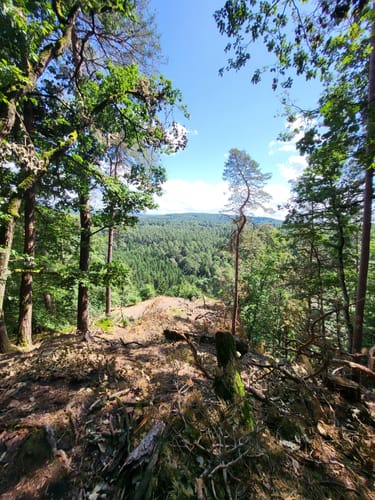 Hochburg und Höhlen