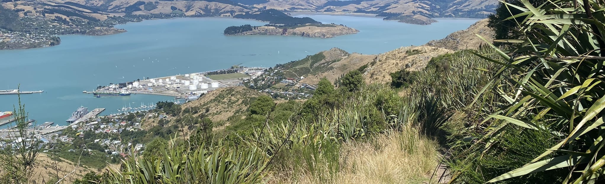 Crater Rim Walkway and Summit Road Loop, Canterbury, New Zealand - 43 ...