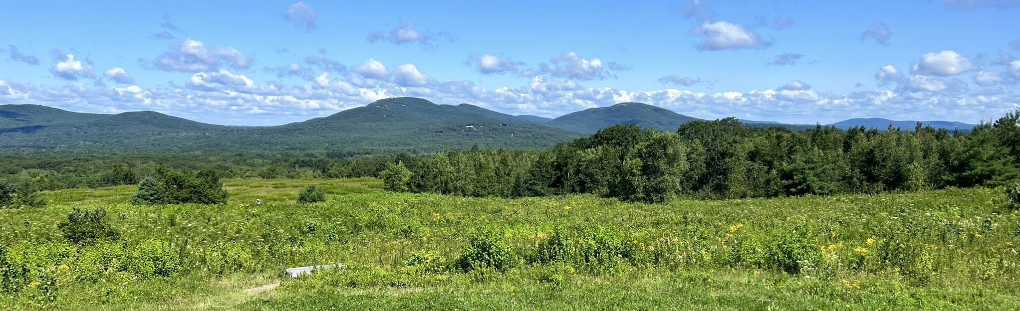 Beech Hill Summit Road Trail 383 Reviews, Map Maine AllTrails