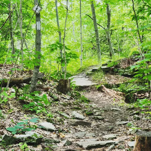 Best Hikes and Trails in Terra Cotta Conservation Area | AllTrails