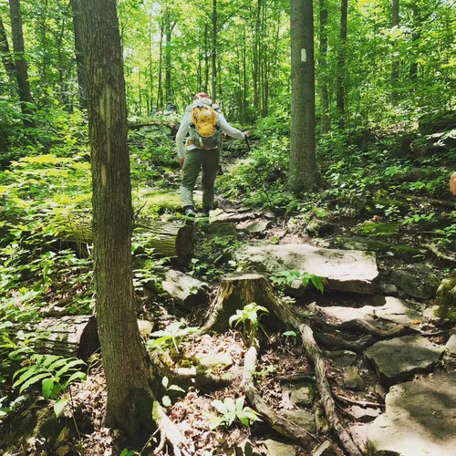 Best Hikes and Trails in Terra Cotta Conservation Area AllTrails