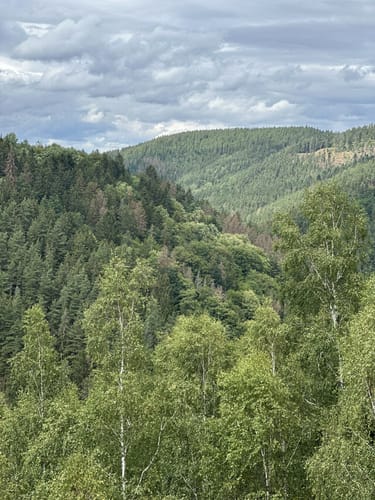 Rund um Talsperre Leibis