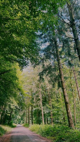 Urexweiler Rundweg