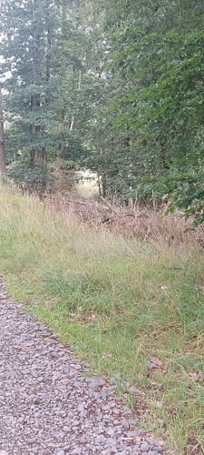 Rund um Niederseßmar