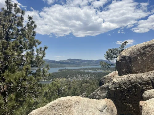 Big bear clearance dog friendly hikes