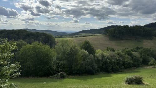 Rundwanderweg Gorxheimertal 9: Waldkopf-Weg