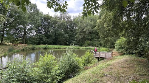 Rundwanderweg Gorxheimertal 9: Waldkopf-Weg
