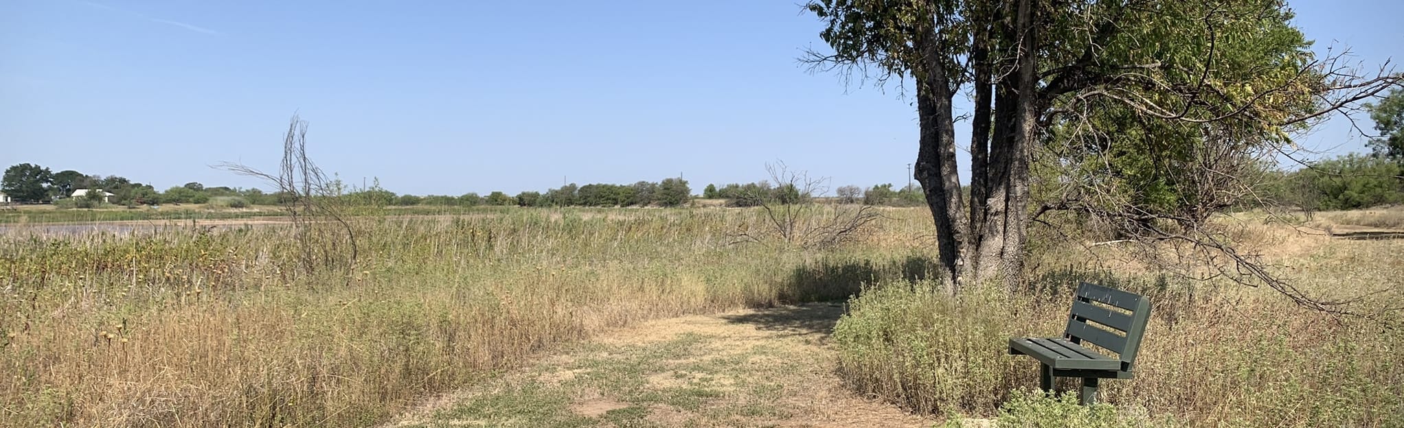 Onion Creek Loop Trail, Texas 83 Reviews, Map AllTrails