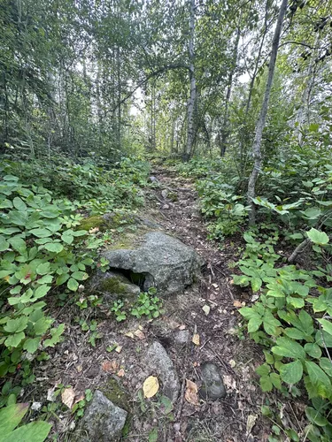 Best Hikes and Trails in Lac La Ronge Provincial Park | AllTrails