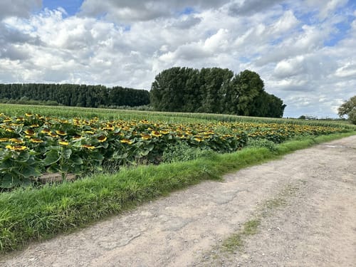 Kölnpfad-Schnupperrunde