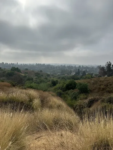 Best Hikes and Trails in West Coyote Hills Park | AllTrails