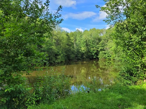Geistinger Wald Rundweg