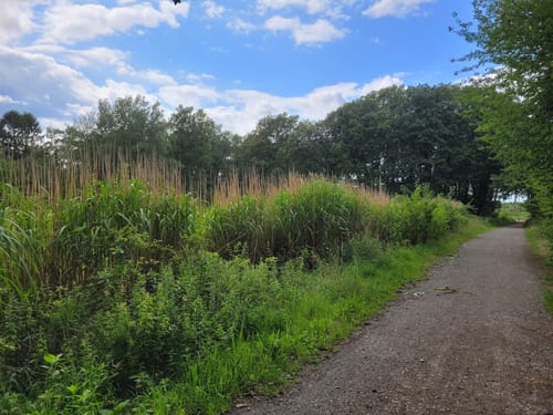 Geistinger Wald Rundweg
