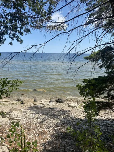 Escape to Serenity: Michigan's Wells State Park Awaits