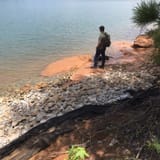 Clear Creek Bicycle Trail Alabama - EyJidWNrZXQiOiJhc3NldHMuYWxsdHJhaWxzLmNvbSIsImtleSI6InVwbG9hZHMvcGhvdG8vaW1hZ2UvNjMyODI5NjAvYzE2ZjQ0M2I4NGU2YjFhYWIyNTA1NWMzYTJmNjJhOTkuanBnIiwiZWRpdHMiOnsidG9Gb3JtYXQiOiJqcGVnIiwicmVzaXplIjp7IndpZHRoIjoxNjAsImhlaWdodCI6MTYwLCJmaXQiOiJjb3ZlciJ9LCJyb3RhdGUiOm51bGwsImpwZWciOnsidHJlbGxpc1F1YW50aXNhdGlvbiI6dHJ1ZSwib3ZlcnNob290RGVyaW5naW5nIjp0cnVlLCJvcHRpbWlzZVNjYW5zIjp0cnVlLCJxdWFudGlzYXRpb25UYWJsZSI6M319fQ==